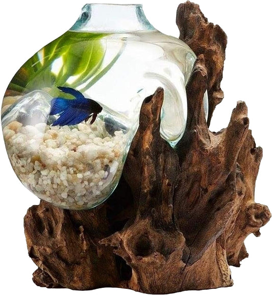 Hand Blown Molten Glass & Teak Wood Terrarium/Vase/Fish Bowl - Premium Quality (12" - 14" High)